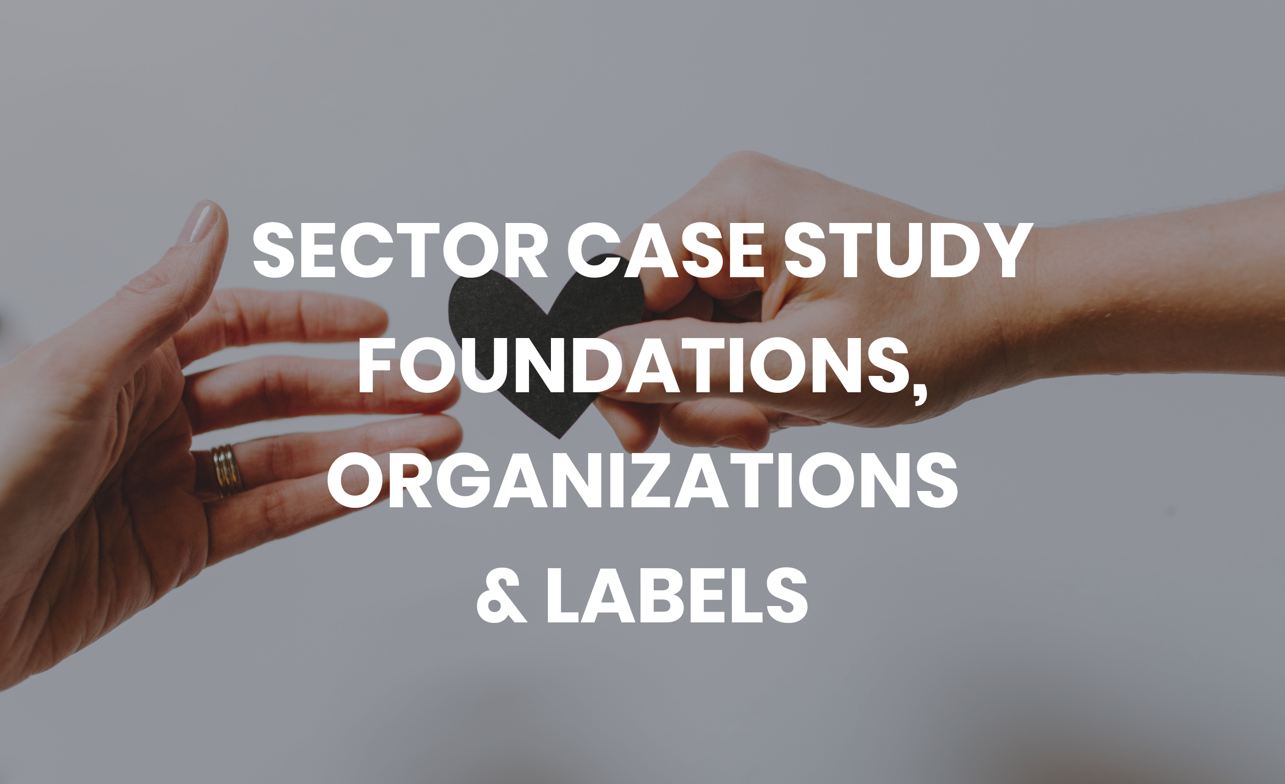 Sector Case Study Foundations, Organizations & Labels