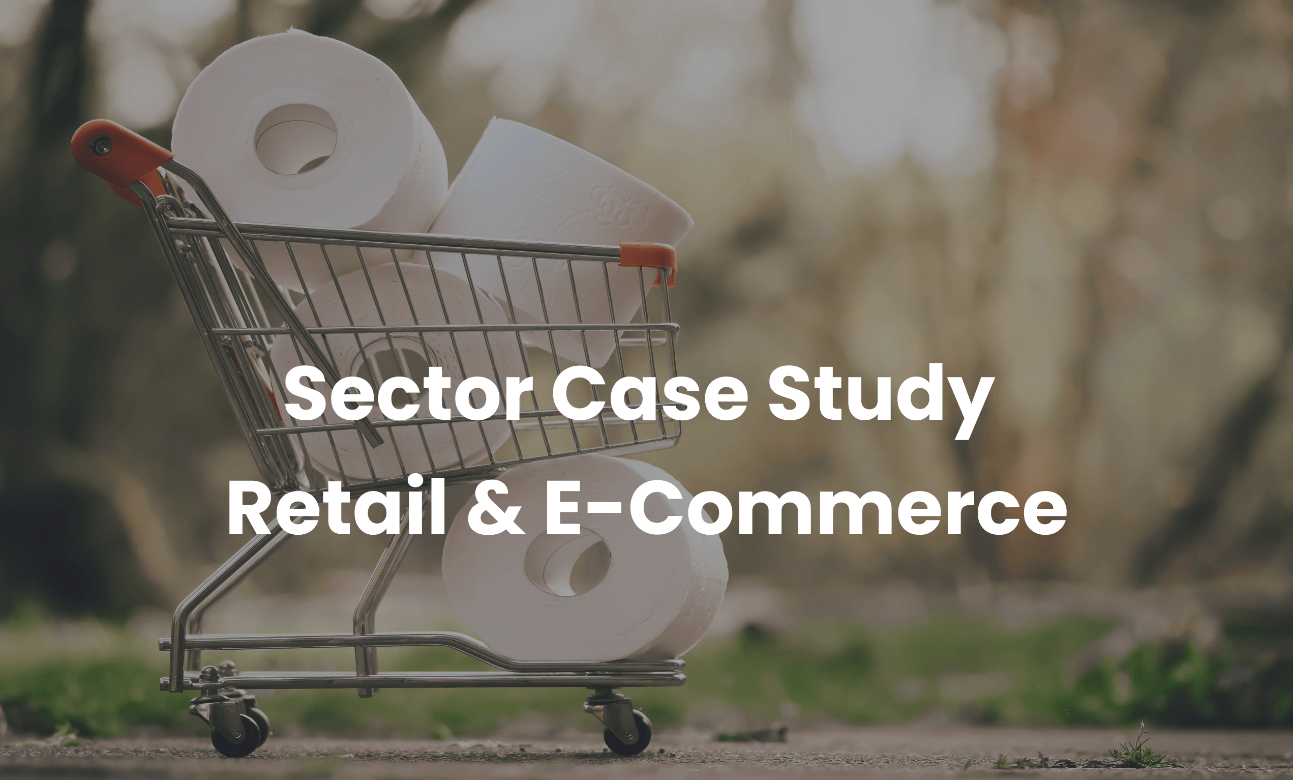 Sektor Case Study Retail & E-Commerce