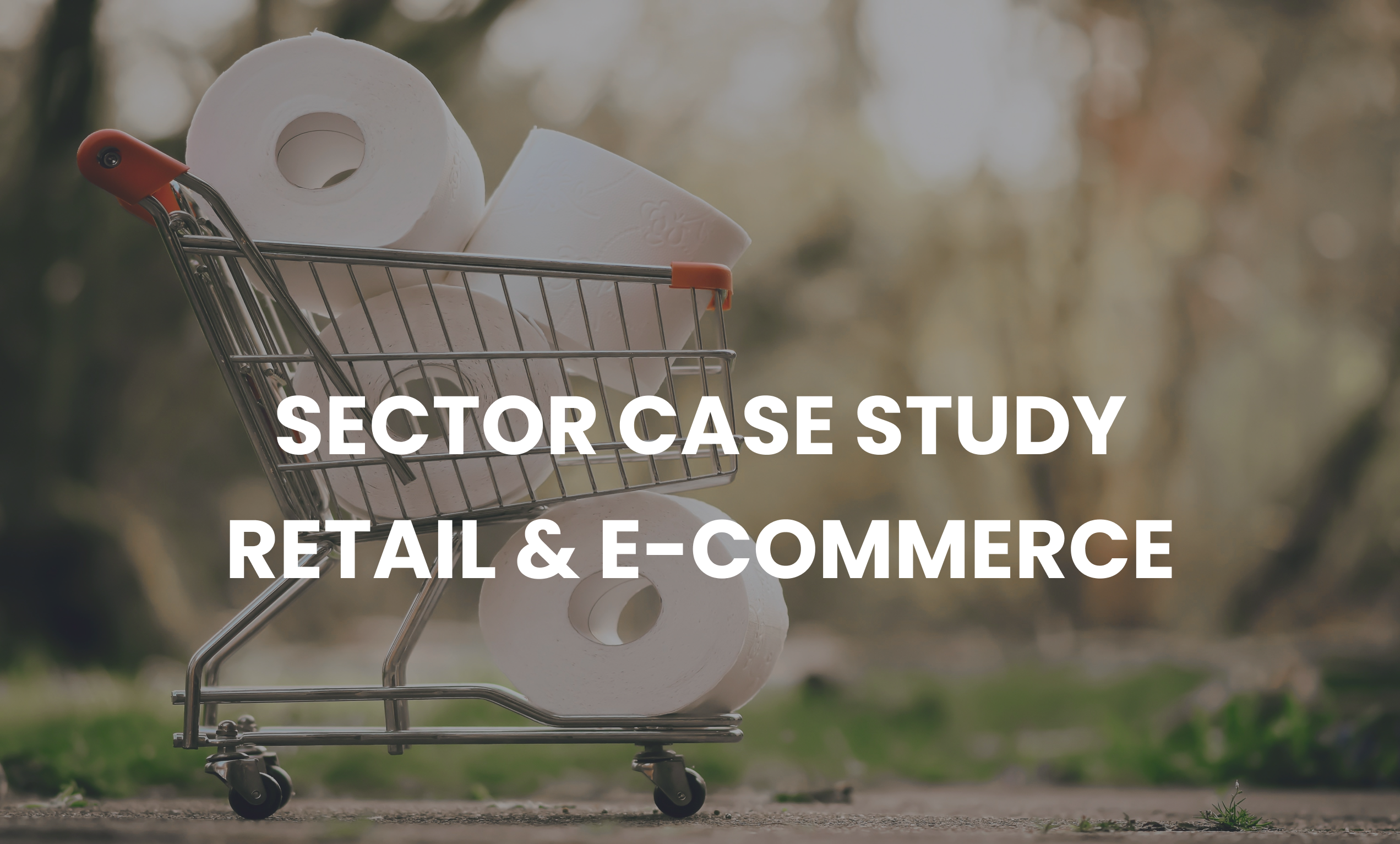 Sector Case Study Retail & E-Commerce